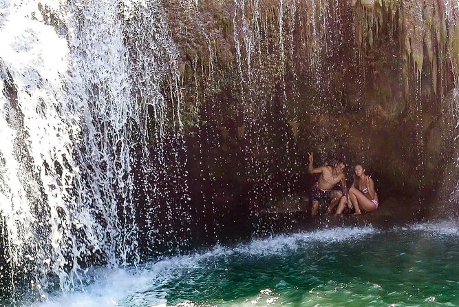 2025 Tarsier, Waterfalls & Chocolate Hills Tour - What the $65 price gets you