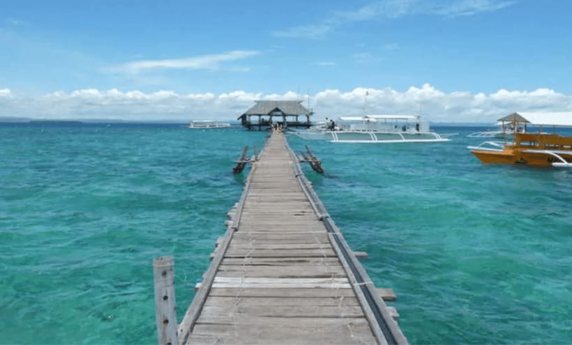 3 Islands Hopping at Gilutungan, Caohagan, Nalusuan + Lunch - Nalusuan: a second chance for marine life