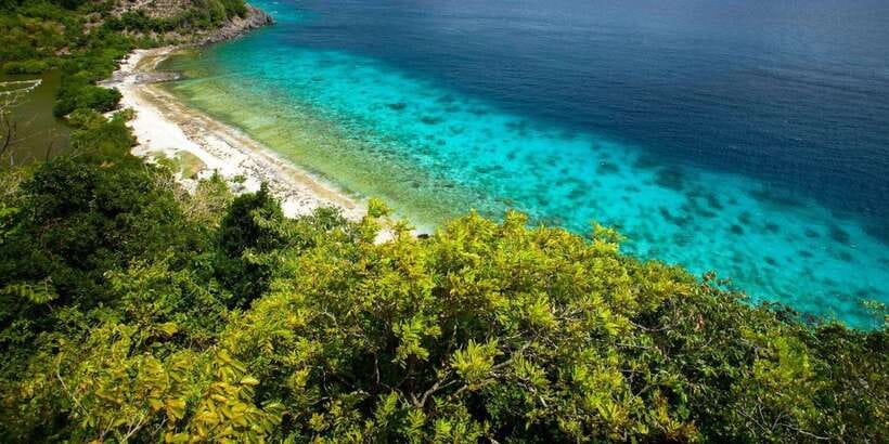 Apo Island Wonders: Snorkel with Sea Turtles in Dumaguete - What the guide service is really like