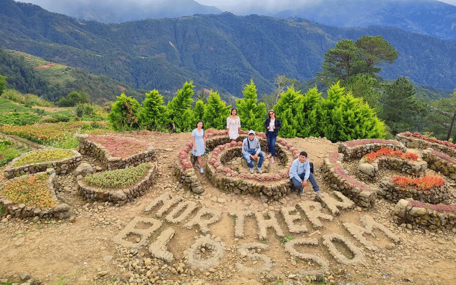 Baguio Atok Flower Blossoms (Private Tour) - Should You Book the Atok Flower Tour?