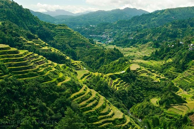 Banaue & Batad UNESCO 3days 2 nights Tour ( Private Group Tour Max 6 Travelers) - Who should book this Banaue tour