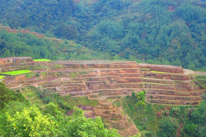 Banaue Rice Terraces Escape: 3 Days, 2 Nights with Transfers - Day 1: The Long Ride North and Your Banaue Base