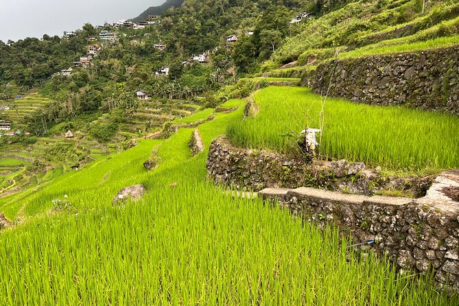 Batad Guided Tour - Walking into Batad’s bowl of terraces