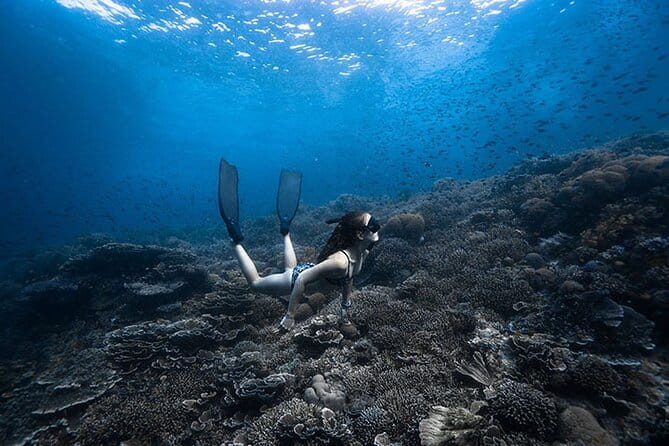 Beginner Freediving Course (with Bonus Session) - Key points before you book