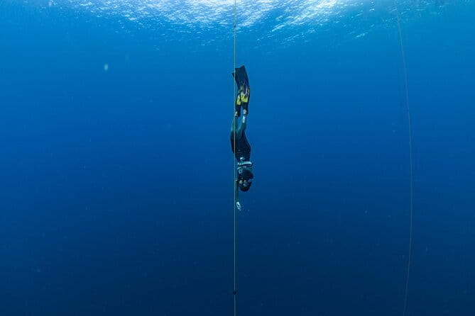 Beginner Freediving Course (with Bonus Session) - What the Panglao course is really teaching