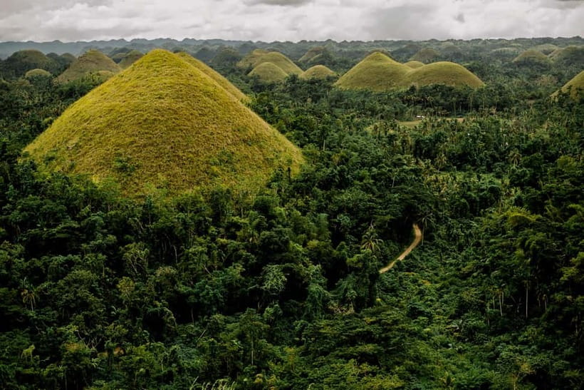 BEST OF BOHOL: Chocolate Hills & Tarsier w Lunch at Loboc - The long-day reality