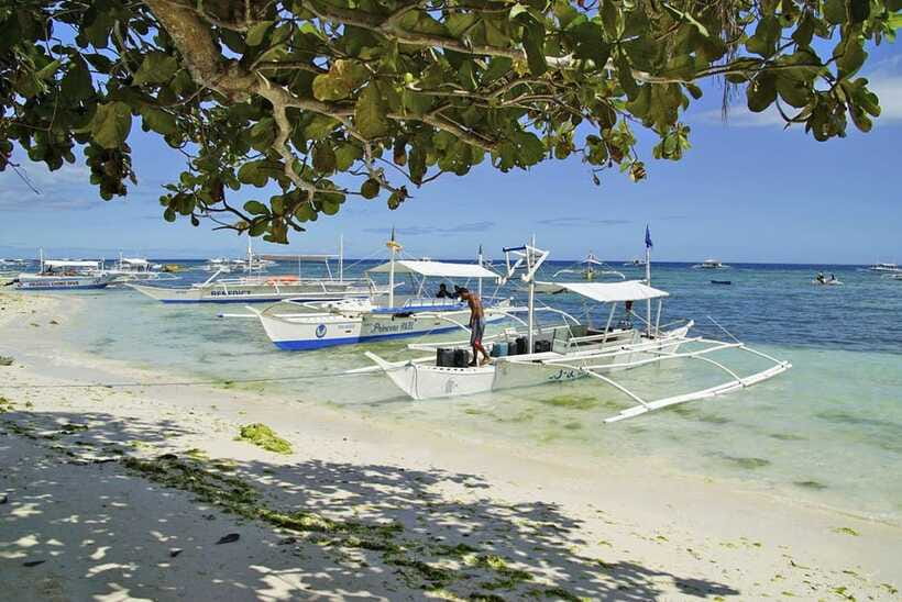 Bohol Balicasag Is Private Tour and Dolphin Watching - Turtle watching with a local guide