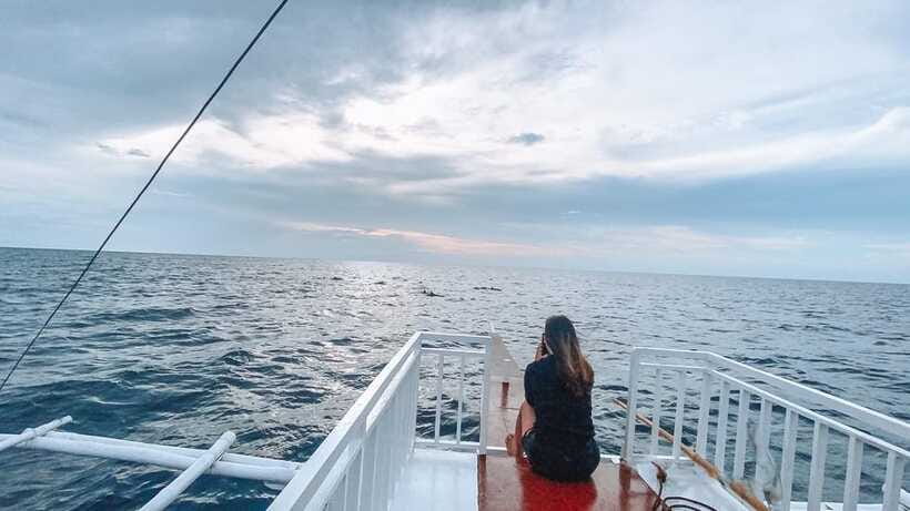 Bohol Balicasag Is Private Tour and Dolphin Watching - Paddle boat time and the current island plan