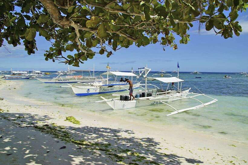 Bohol Balicasag Is Private Tour and Dolphin Watching - Dolphin watching before the crowds