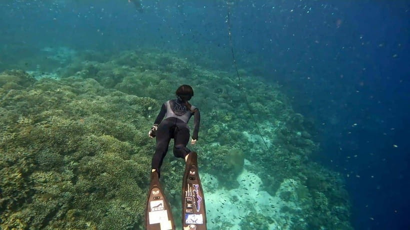 Bohol: Boat Tour to Sandbar and Snorkeling with Turtles - Looking for dolphins near Balicasag