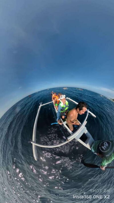 Bohol: Boat Tour to Sandbar and Snorkeling with Turtles