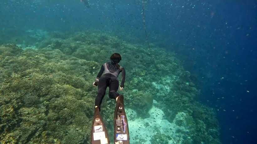 Bohol: Boat Tour to Sandbar and Snorkeling with Turtles - What the boat experience feels like
