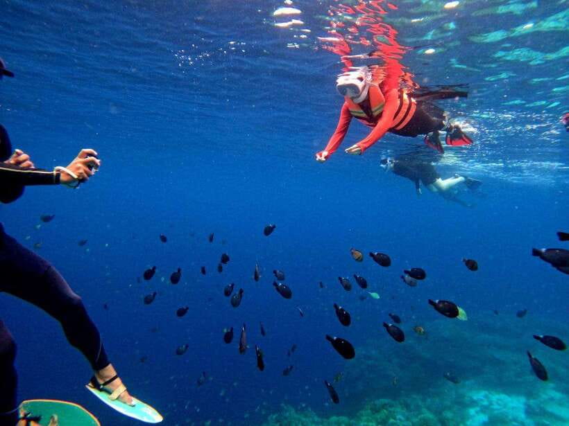 Bohol: Boat Tour to Sandbar and Snorkeling with Turtles - The best way to prepare