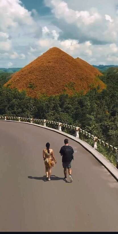 Bohol: Budget Chocolate Hills & Tarsiers -Backpacker Special - What this Bohol day is really selling