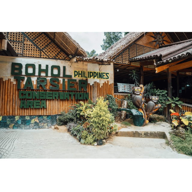 Bohol: Choco Tour + Rio Verde Lunch Buffet - The Chocolate Hills Viewpoint