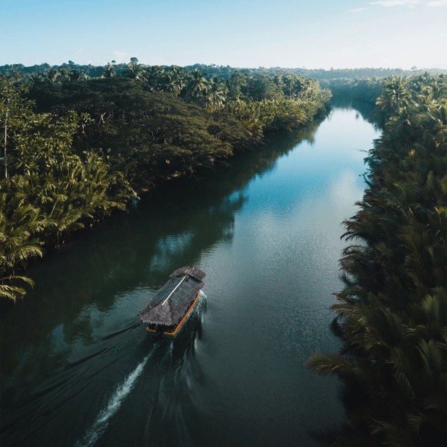 Bohol: Choco Tour + Rio Verde Lunch Buffet - Who Will Get the Most From This Tour