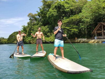 Bohol: Chocolate Hills and Countryside Tour