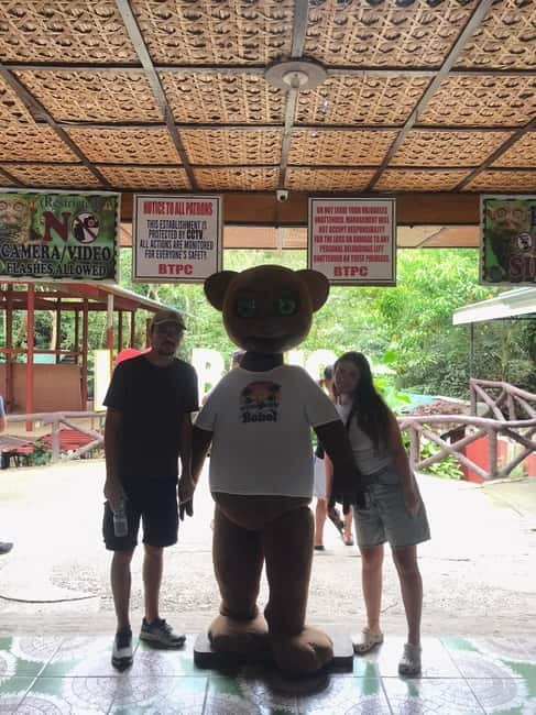 Bohol: Chocolate Hills, Loboc River, and Tarsier Tour - Seeing the Chocolate Hills from above