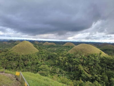 Bohol: Chocolate Hills, Tarsiers and Loboc River Day Tour