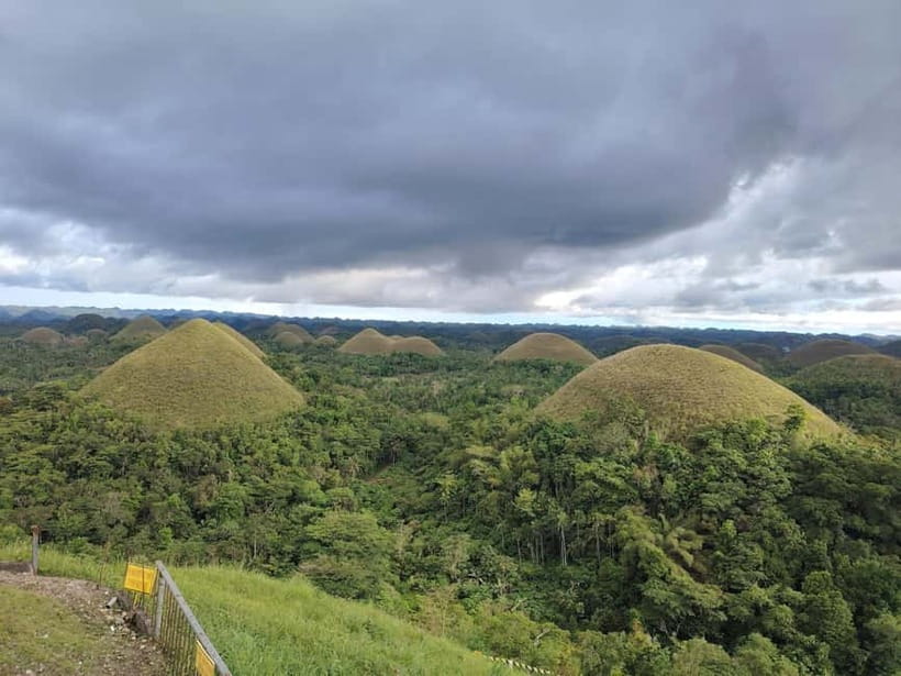 BOHOL: Chocolate Hills, Tarsiers and Loboc River Day Tour - Pickup from Panglao and the comfortable van ride