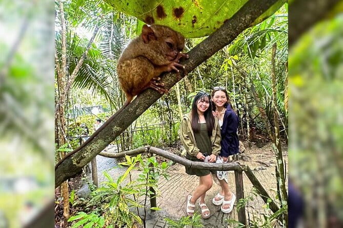 Bohol Chocolate Hills, Tarsiers & Loboc River Private Tour - Why the private Bohol format works well