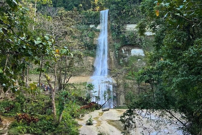 Bohol Chocolate Hills, Tarsiers & Loboc River Private Tour - Optional zipline views at Loboc Ecotourism Adventure Park