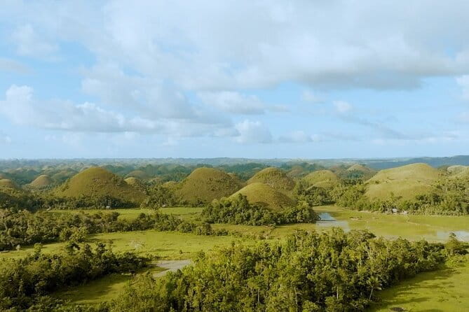 Bohol Chocolate Hills, Tarsiers & Loboc River Shared Tour - Lunch and music on the Loboc River