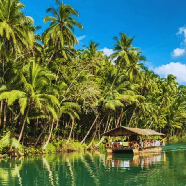 Bohol: Chocolate Hills Tour with Loboc River Cruise & Lunch - A long Bohol loop from Panglao to the hills