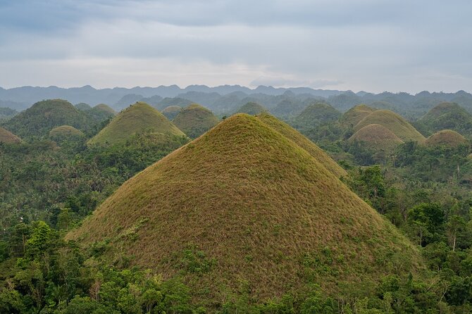 Bohol Chocolate Making and Farm Tour - From Chocolate Hills to the cacao farm