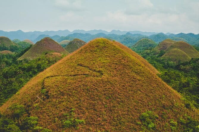 Bohol Country Side Tour - Private w/ Lunch - A private route through Bohol’s classic sights