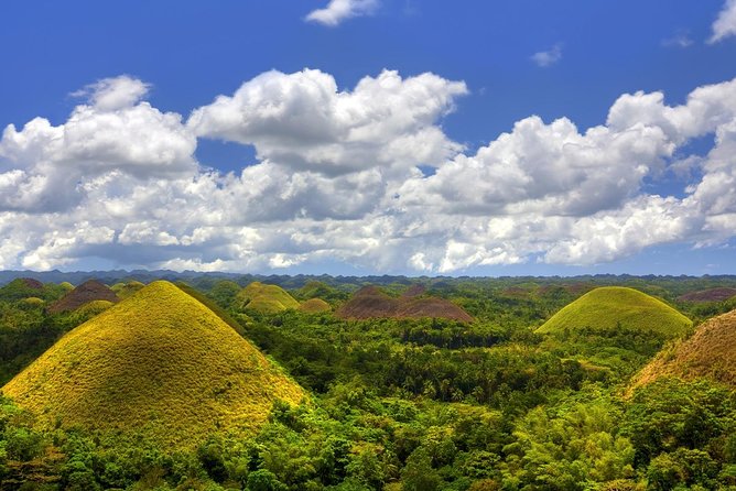 Bohol Countryside Day Tour From Cebu City | Lunch at Loboc River Cruise - Loboc River Cruise: lunch with a show