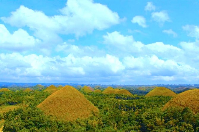 Bohol Countryside Day Tour from Cebu City or Mactan - Best Seller - Leaving Cebu before sunrise