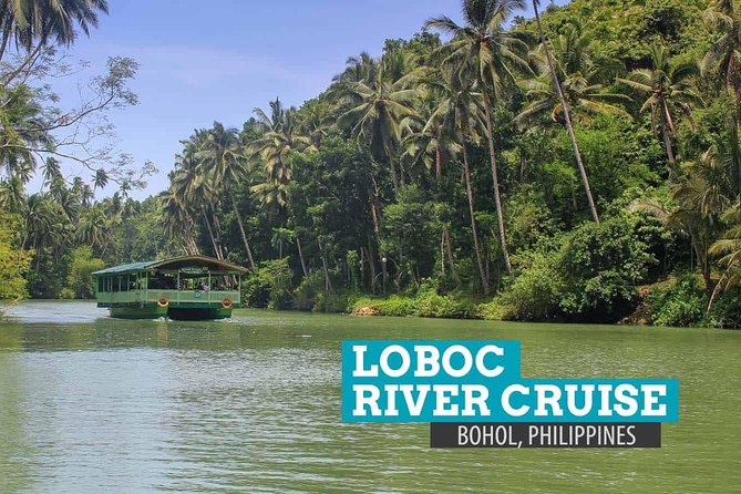 Bohol Countryside Day Tour from Cebu City or Mactan - Best Seller - Tarsiers at the conservation area