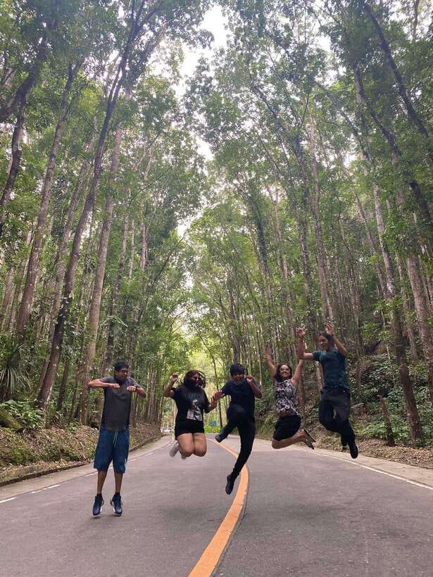 Bohol Countryside Private Tour From Cebu City | Private Tour - The Bilar Mahogany Forest photo stop