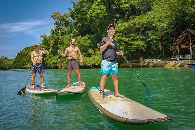 Bohol Countryside Tour: Chocolate Hills, Tarsier and Loboc River - Why this Bohol day works so well