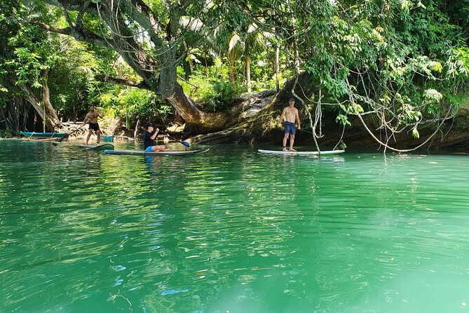 Bohol Countryside Tour: Chocolate Hills, Tarsier and Loboc River - The extra countryside stops can be the day’s surprise