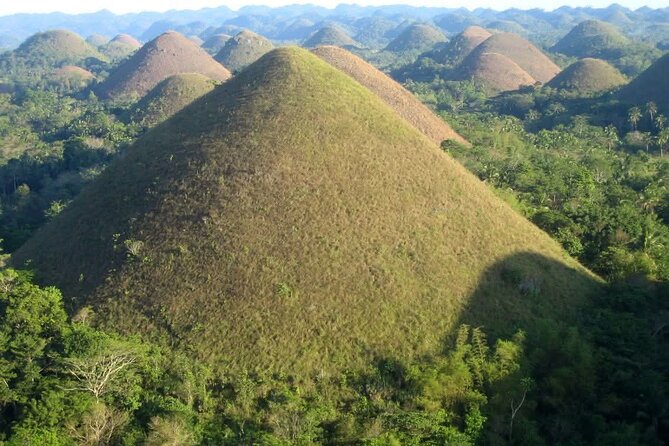 Bohol Countryside Tour to Chocolate Hills and Loboc River - Meeting Bohol’s tiny tarsiers