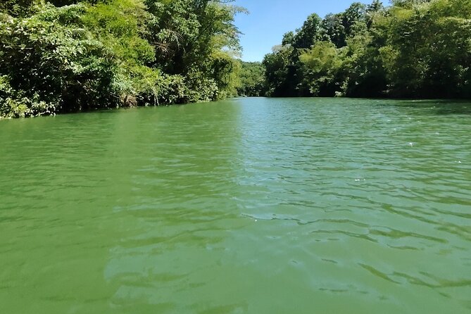 Bohol Countryside Tour to Chocolate Hills and Loboc River - The wide view at Chocolate Hills Natural Monument
