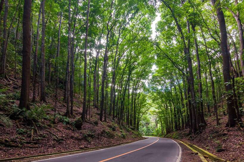 Bohol: Countryside Tour with Loboc (Buffet Lunch) - Key points to know before booking