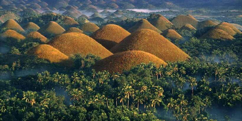 Bohol: Countryside Tour with Loboc (Buffet Lunch) - Tarsiers, with one important booking check