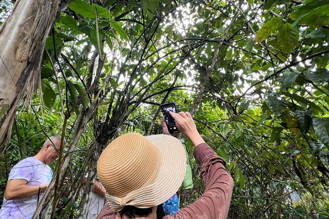 Bohol Day Tour with Round-Trip Transfers from Cebu - The real cost of a 15-hour day