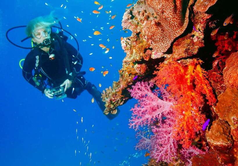 Bohol: Discover Scuba Diving - No Experience Needed - Shallow-water practice before the boat ride