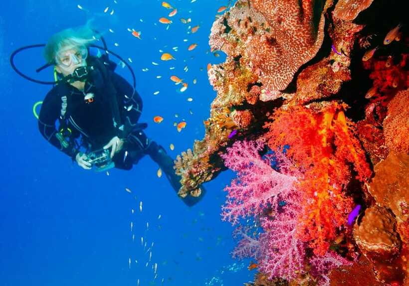 Bohol: Discover Scuba Diving - No Experience Needed - Underwater photos and videos are part of the value