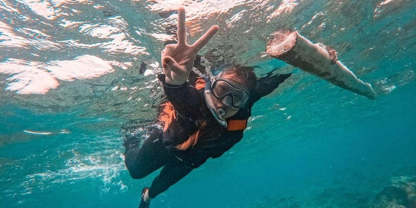 Bohol Dolphin Watching, Balicasag, and Virgin Island Tour - Dolphin Watching Without a Guarantee