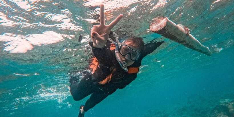 Bohol Dolphin Watching, Balicasag, and Virgin Island Tour - Should You Book This Bohol Island Tour?