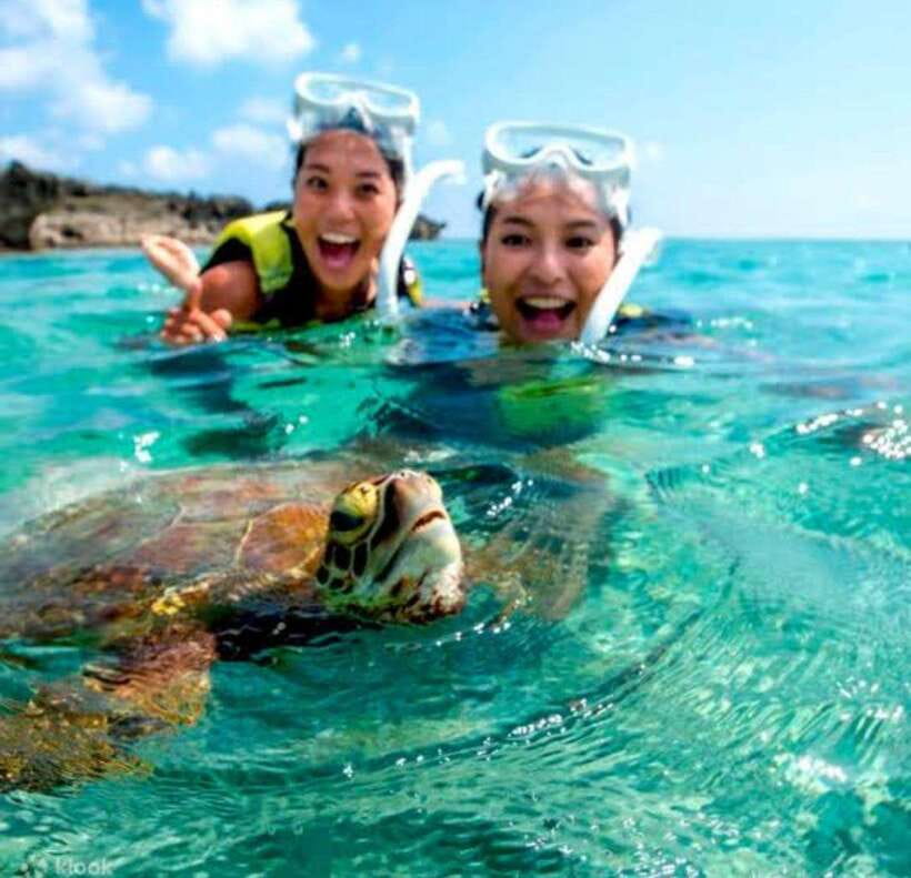 Bohol: Dolphin Watching & Sea Turtle Swim Island Tour - Why the sunrise start matters