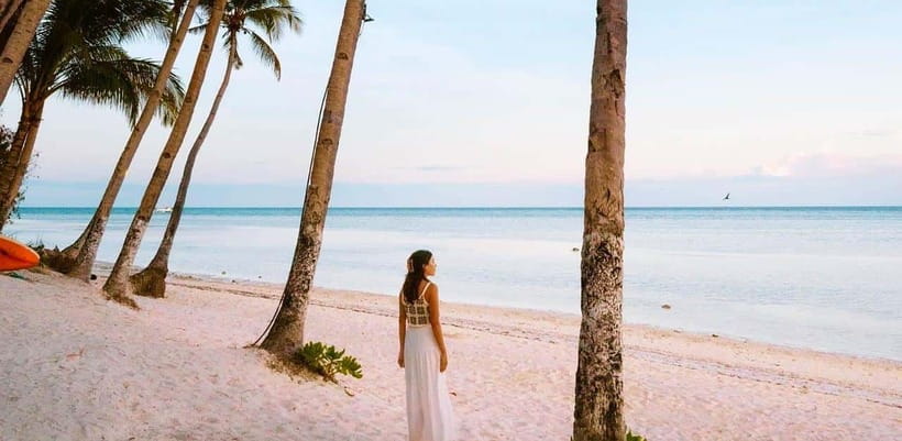 Bohol: Dolphin Watching & Sea Turtle Swim Island Tour - What $49 includes, and what it does not
