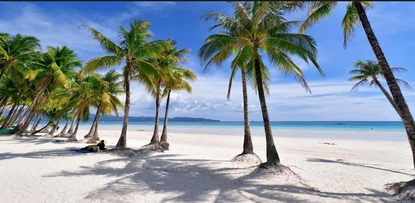 Bohol: Dolphin Watching & Sea Turtle Swim Island Tour - Who will get the most from this tour