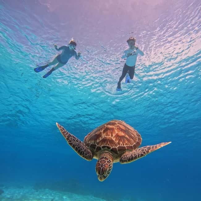 BOHOL: Dolphin Watching, Turtle Swim and Party Boat - Early water time near Pamilacan Island