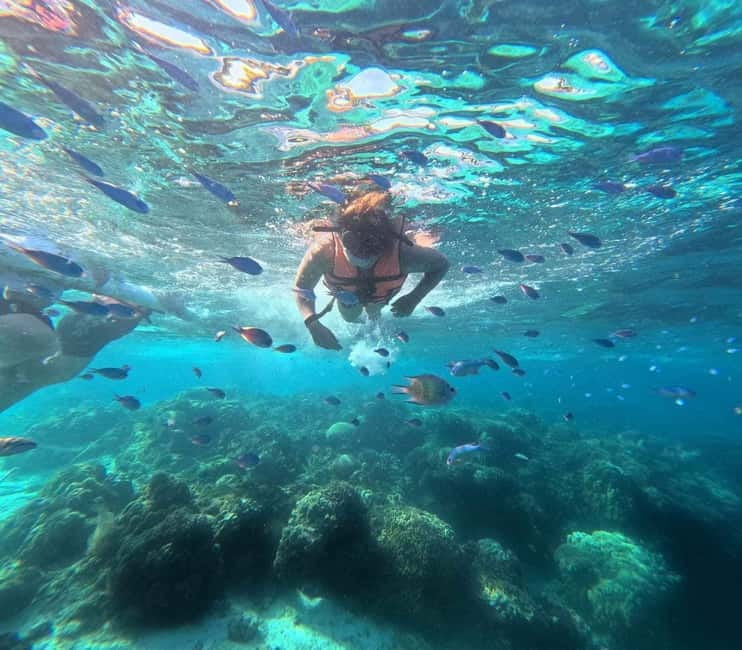 BOHOL: Dolphin Watching, Turtle Swim and Party Boat - Music, drinks, and the flexible party mood